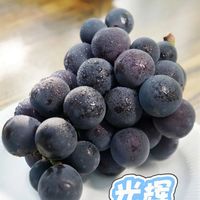 阳台种葡萄总失败？先别怪技术，品种选对了吗