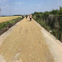 比普通菜贵3-5倍，“六不用”生态农业到底是不是智商税？