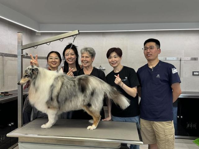 伊珊娜洗护按毛质分是噱头还是真科学？美容师16年经验告诉你值不值