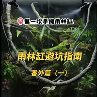 雨林缸避坑与溪流缸开缸 | 水族造景7.30日报