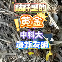 秸秆也能变黄金，中科大最新成果来了