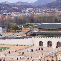 去韩国换钱哪家强:机场明洞ATM实测对比,汇率差出几十块