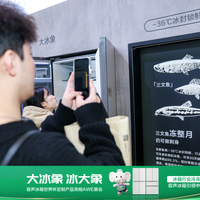 容声大冰象603/605实测:冷冻天花板还是营销噱头?对比海尔美的后真相了