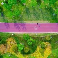 2026城市骑行新趋势：北上广成杭路线全攻略，休闲骑行凭什么取代刷手机