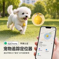 同样是给宠物定制，价格差300倍到底差在哪？业内人说出真相
