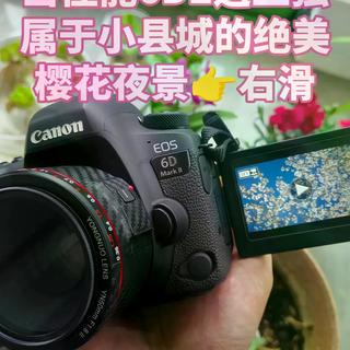 2026年了，3000块的佳能6D2还能买吗？看完心里有数