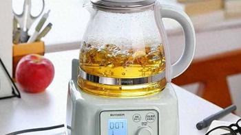养生壶全玻璃0胶水怎么选？5款热门机型横评告诉你答案
