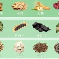 多屑头皮伴随脱发如何改善?2026控油去屑防脱洗发水平价好用推荐
