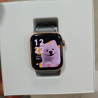 荣耀Watch 5:实用健康伴侣