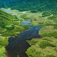 神农架20℃避暑真相：木鱼镇热到冒汗，大九湖夜里翻箱找羽绒服