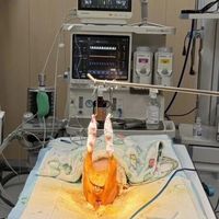 手术完才是开始！小型犬髌骨脱位术后四阶段复健指南，少一步都白搭