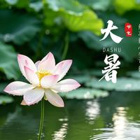 大暑别再猛灌冰的了！老中医：热的要吃温的，湿气才能排干净