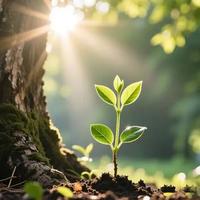 学了20多堂育儿课，孩子还是不服管？教育顺序搞反了，难怪亲子关系越来越僵