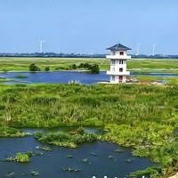 城市人举起望远镜那一刻,集体决定和焦虑和解