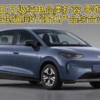 差价1万怎么选？零跑T03 310和403深度对比，看完不再纠结