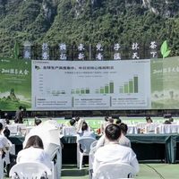 原来抹茶根本不是绿茶粉！中国产量全球第一，性价比却完爆日本货