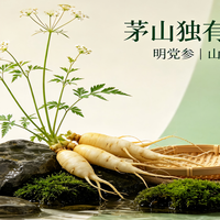 茅山专属珍稀本草明党参：春日可食、古法可养，藏着山林生态智慧