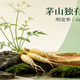 茅山专属珍稀本草明党参：春日可食、古法可养，藏着山林生态智慧