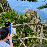 带娃爬黄山避坑指南扎心真相：攻略背熟了，人还是懵的