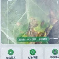 准确率98%的农业AI，为什么还是不敢给农民开处方？