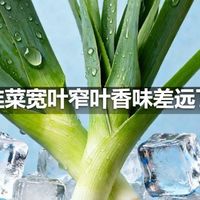 韭菜宽叶窄叶香味差远了