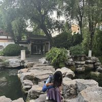 在家打坐和寺庙禅修，差的不是换个地方坐着，是整套修行体系