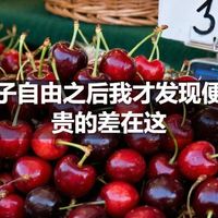 车厘子自由之后我才发现便宜和贵的差在这