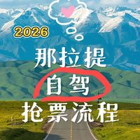 花200块抢票vs免费自驾，新疆两大草原的真实差距，看完不纠结