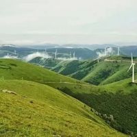 北京3.5h直达！这个“野生”高山草甸凭什么被称为京津冀人的避暑天花板
