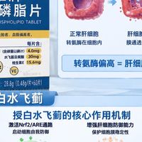 体检转氨酶偏高吃授白水飞蓟有用吗