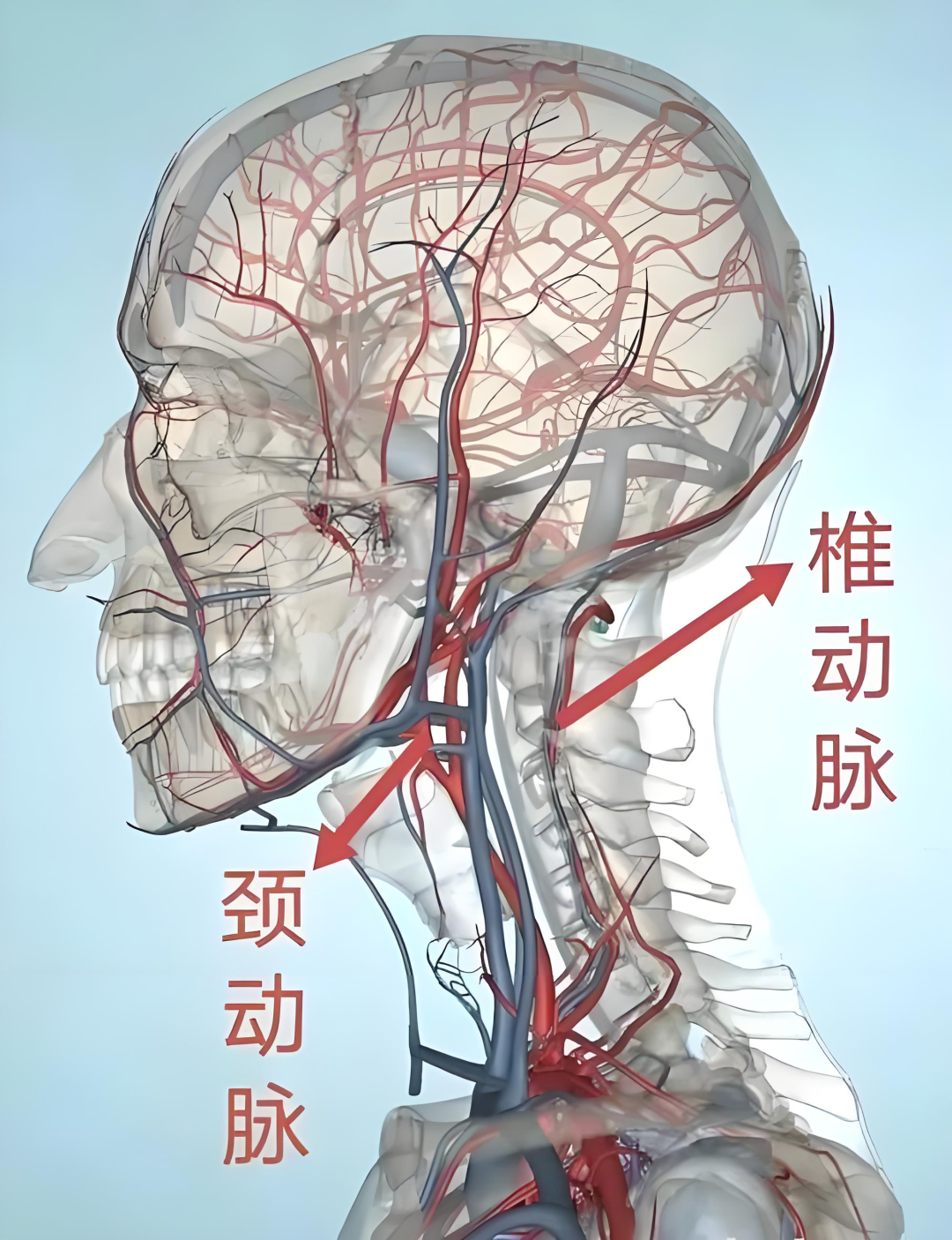 20岁大学生按摩后突发脑梗!脖子酸痛时,这几个动作别乱做