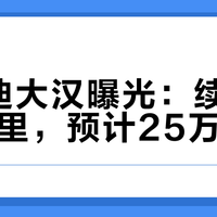 比亚迪大汉曝光：续航1008公里，预计25万起
