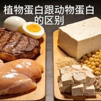 动物蛋白vs植物蛋白怎么选营养师说出答案
