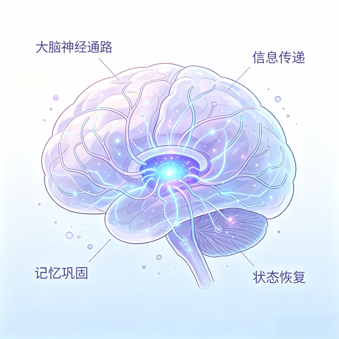 功能营养