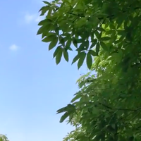 收狐霜夏天用效果到底咋样？用过了说出真话