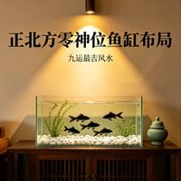 养鱼旺财反破财？90%的人都踩过这5个坑