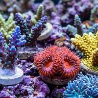 DIY海水缸KH测试仪系列【一】KH测试原理