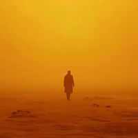 复制人统治世界了！《银翼杀手2099》预告炸裂，杨紫琼领衔颠覆设定