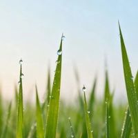 60岁戒烟划算吗？数据说实话：多赚3年健康