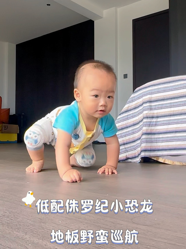 史前翘臀，战力超标