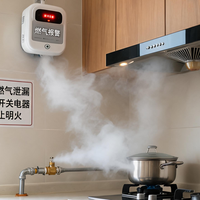 59元和几百块的燃气报警器差在哪？选错真能要命