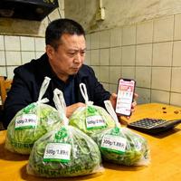社区团购黄糯玉米：价格差几倍，口感到底差在哪？教你选对不踩坑