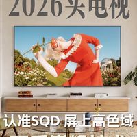 高色域不是一回事:分区控色和像素级控色差别有多大