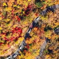 跨境自驾穿越三国！2026年最新通关避坑指南来了