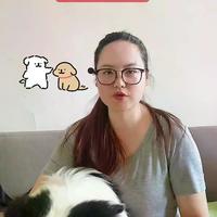 边牧家长别慌！大宠爱到底能不能用，一次说清楚
