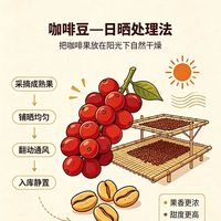 日晒豆为啥喝起来像水果？咖啡师不想告诉你的真相