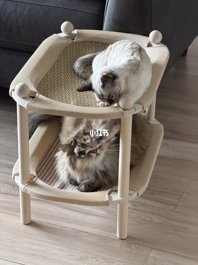 入夏，孩儿们开始睡凉席啦