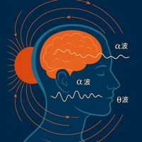 几百到几万的磁疗产品真的能助眠吗？科学拆解来了