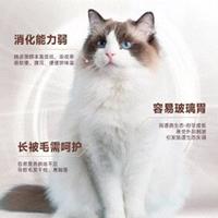 布偶猫玻璃胃、毛发打结、关节承压——专研粮贵3倍到底值不值