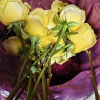 网购鲜花总翻车？花农后代揭秘：到货状态和养护技术关系不大
